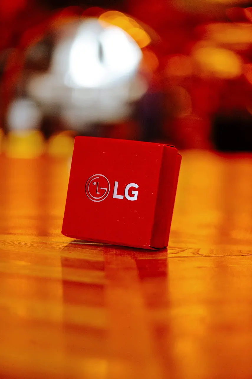 LG: новогоднее мероприятие для ключевых партнёров: новогодний корпоратив, Беларусь: Минск, фото 1
