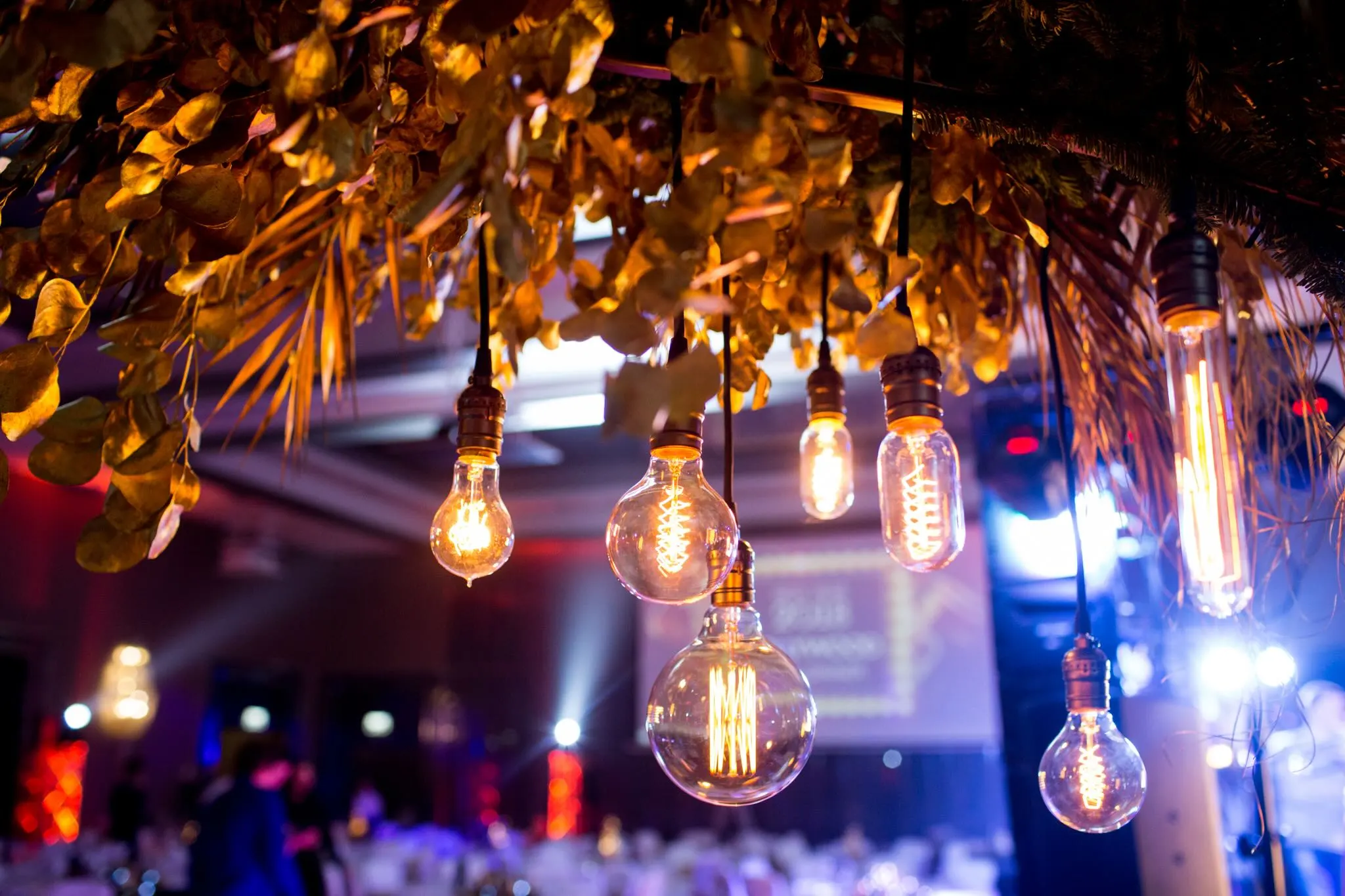 DoubleTree by Hilton: Hollywood Gala Dinner: новогодний корпоратив, Беларусь: Минск, фото 5